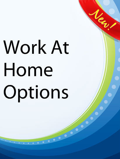 Work At Home Options PLR Ebook