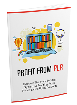 Profit From PLR (eBooks)